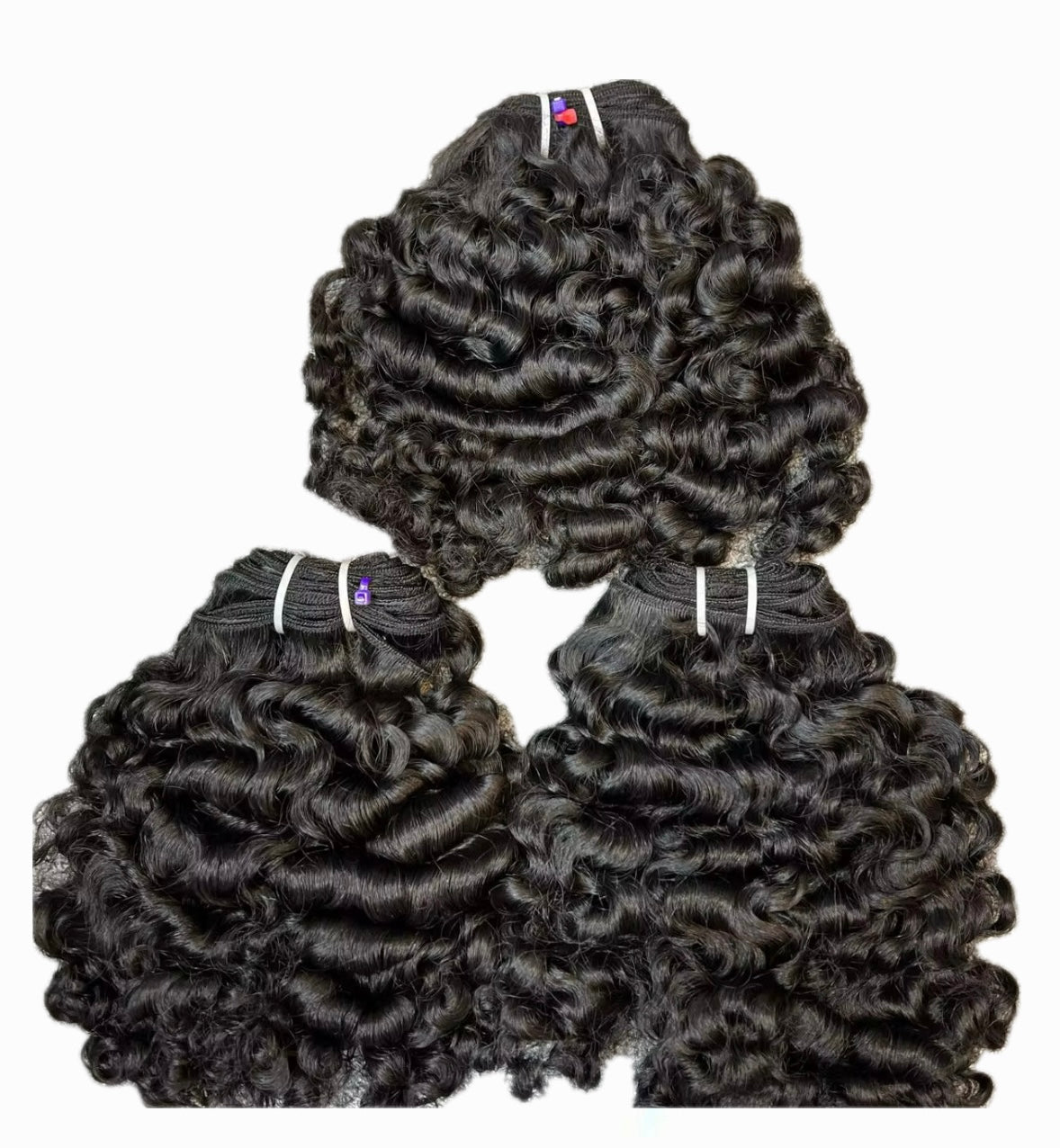 BURMESE CURLY- SINGLE DONOR