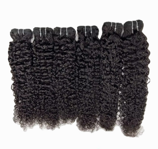 BURMESE CURLY- MULTIPLE DONORS