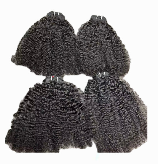 KINKY BURMESE CURLY- SINGLE DONOR