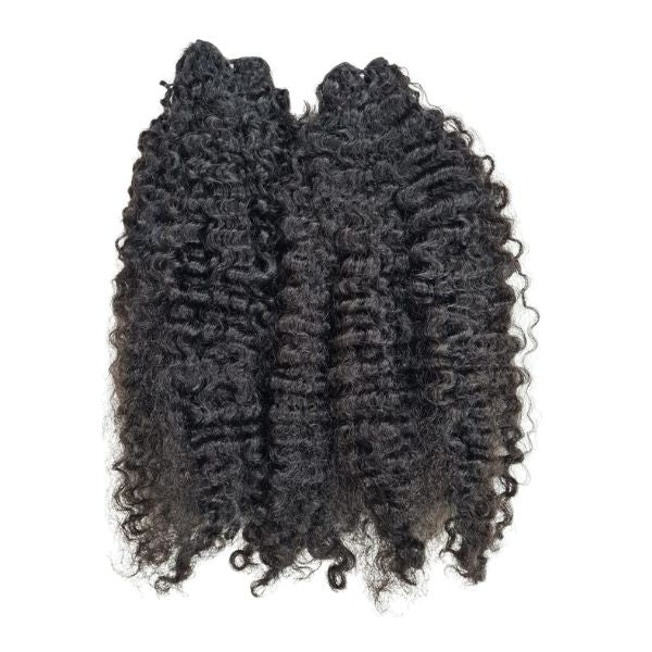 KINKY BURMESE CURLY- MULTIPLE DONORS