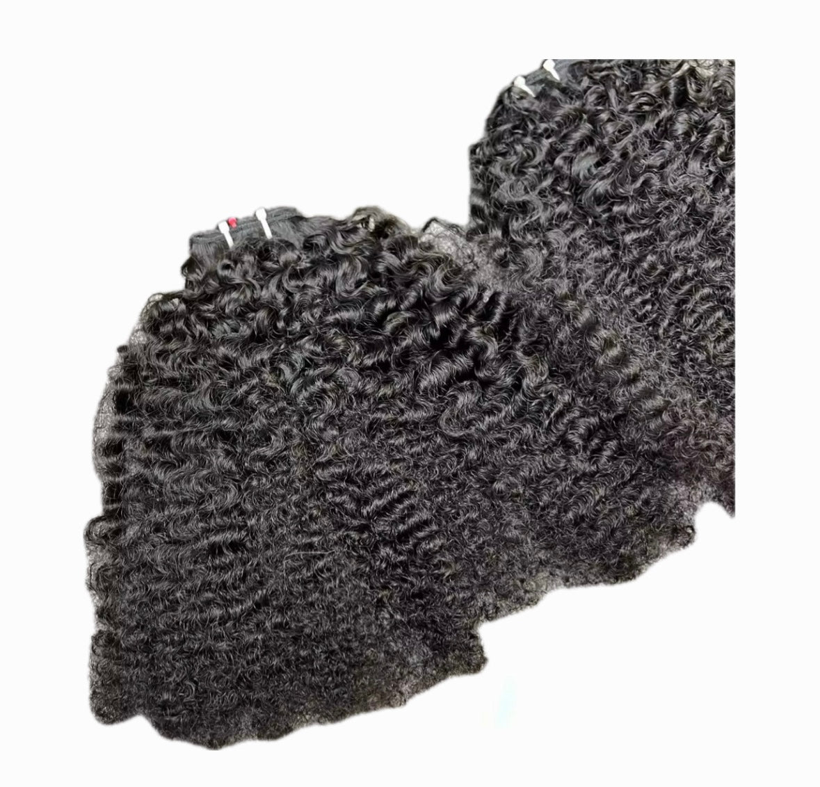 KINKY BURMESE CURLY- SINGLE DONOR